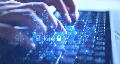数据泄露事件频发 防患于未然，加强网络与信息安全软件开发